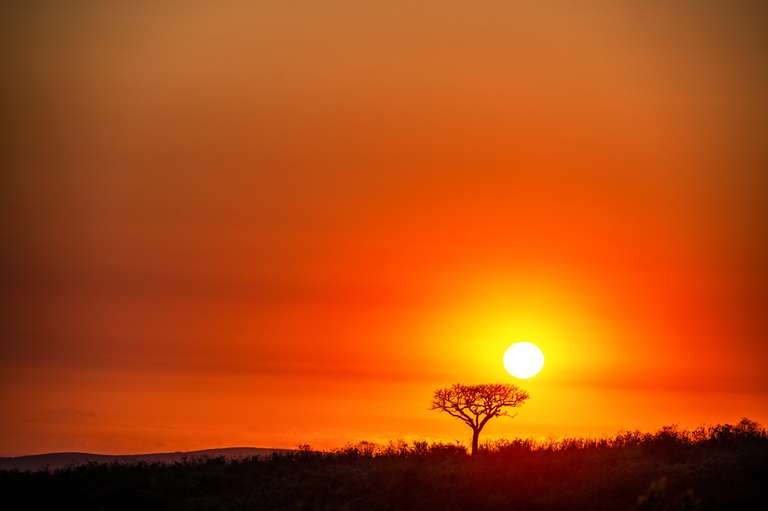 Southern Africa Safari: Kruger & Coast