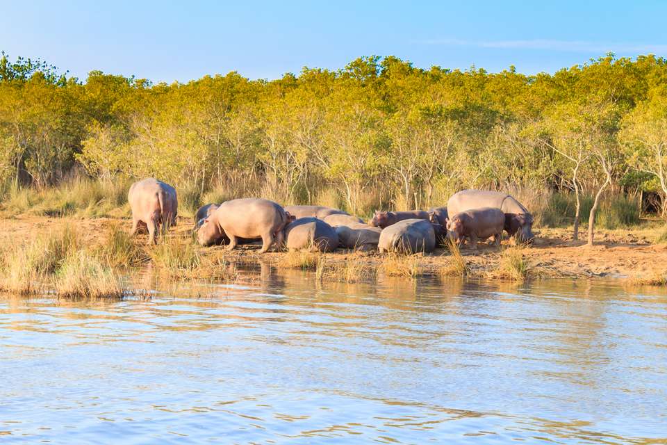 Southern Africa Safari: Kruger & Coast - Exodus Adventure Travels - South Africa - Image 11