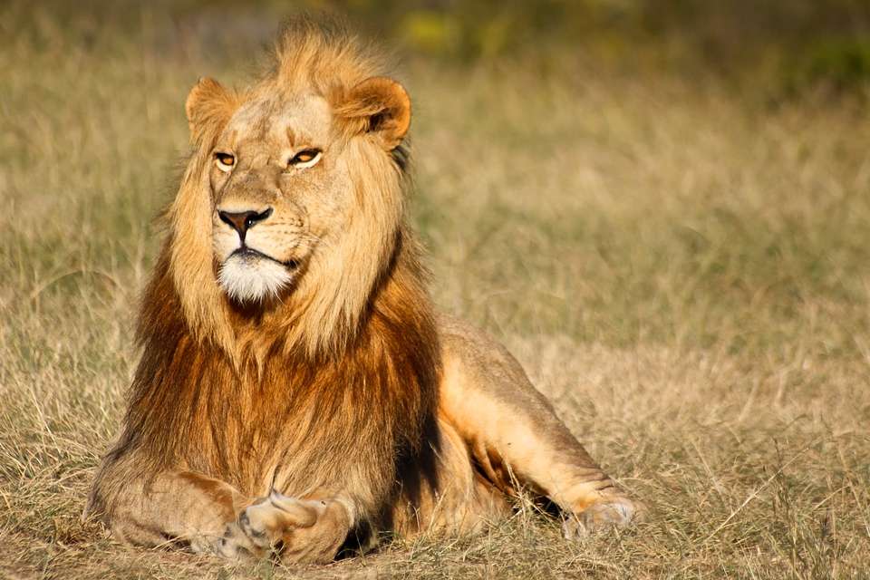 Southern Africa Safari: Kruger & Coast - Exodus Adventure Travels - South Africa - Image 10