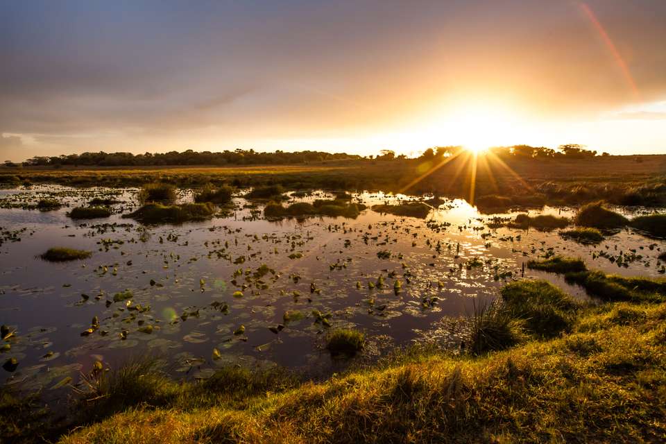Southern Africa Safari: Kruger & Coast - Exodus Adventure Travels - South Africa - Image 9