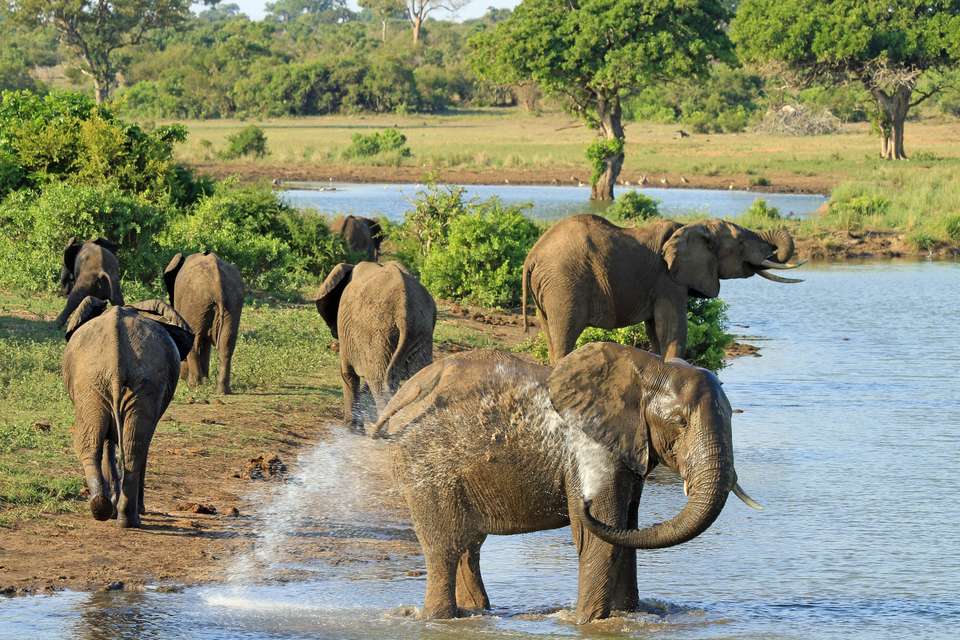 Southern Africa Safari: Kruger & Coast - Exodus Adventure Travels - South Africa - Image 4