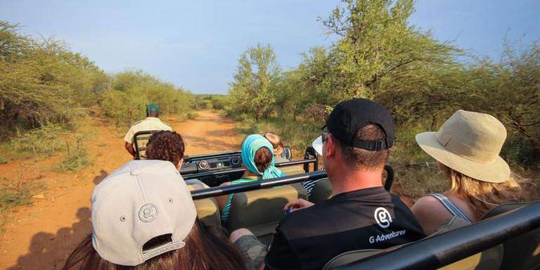 Southern Africa Safari: Kruger, Victoria Falls, Hwange & Chobe - 14 days