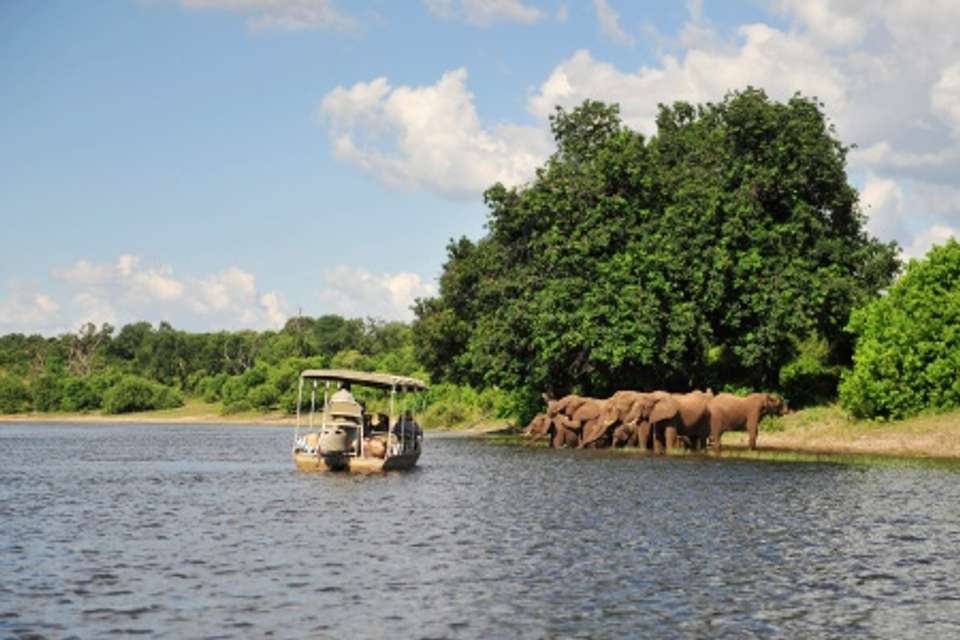 Southern Africa Unveiled: luxury tour, Rovos Rail and cruise journey of a lifetime - Tweet World Travel - South Africa - Image 12