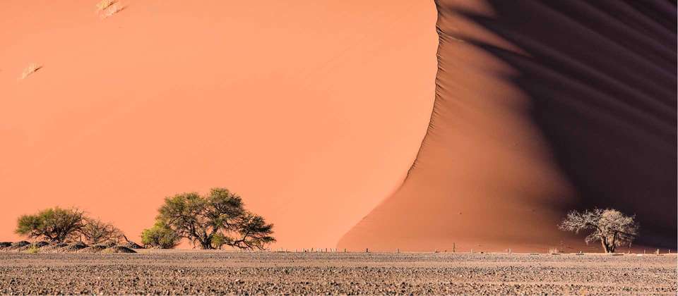 Southern African Desert Rivers and Wildlife - World Expeditions - Namibia - Image 6