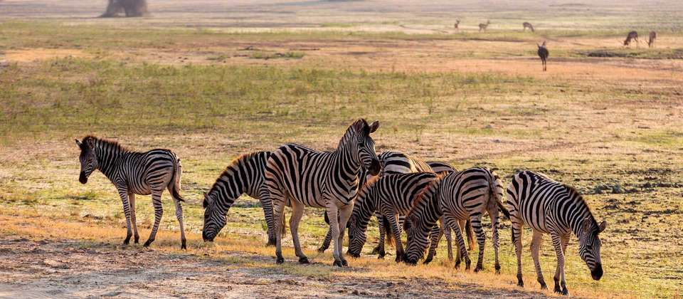Southern African Desert Rivers and Wildlife - World Expeditions - Namibia - Image 7