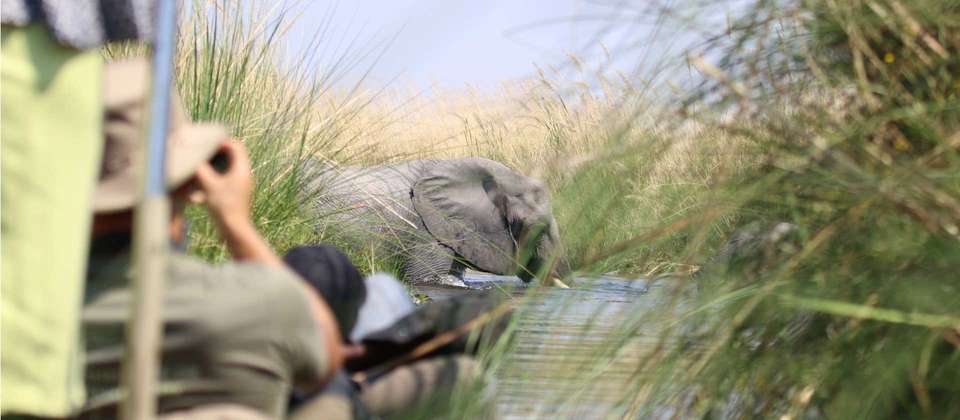 Southern African Desert Rivers and Wildlife - World Expeditions - Namibia - Image 9