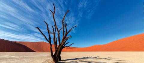 Southern African Desert Rivers And Wildlife (vfa To Wdh) - December 2026
