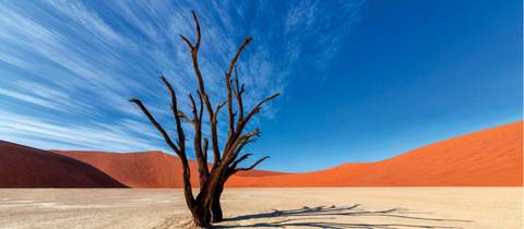 Adventure And Sport Tour: Southern African Desert Rivers And Wildlife (vfa To Wdh)
