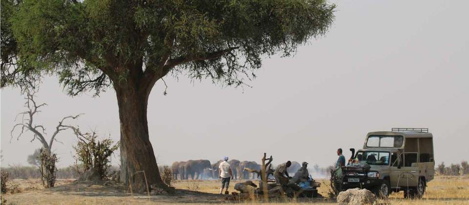 Southern African Desert Rivers and Wildlife (VFA to WDH) - World Expeditions - Zimbabwe - Image 3