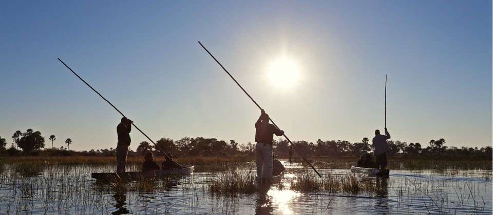 Southern African Desert Rivers and Wildlife (VFA to WDH) - World Expeditions - Zimbabwe - Image 5