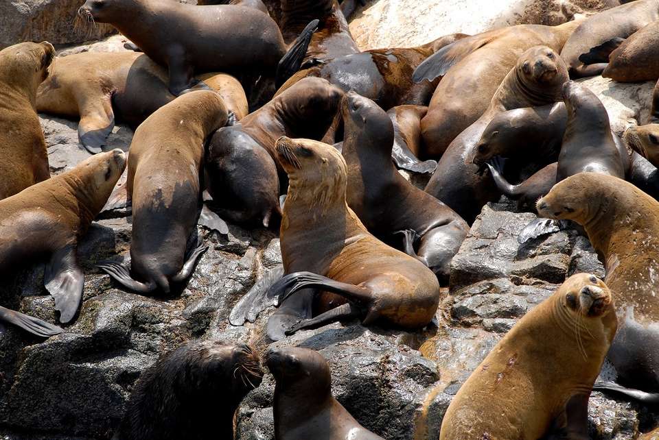 Southern Art & Culture - Destination Services - Peru - Image 7