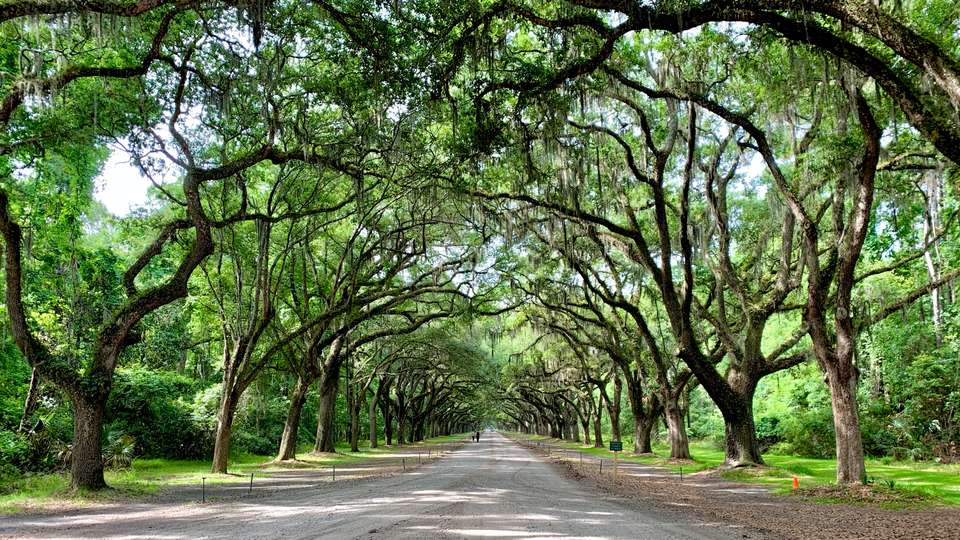 Southern Charm featuring Charleston, Savannah, and Jekyll Island - Collette Tours - USA - Image 4