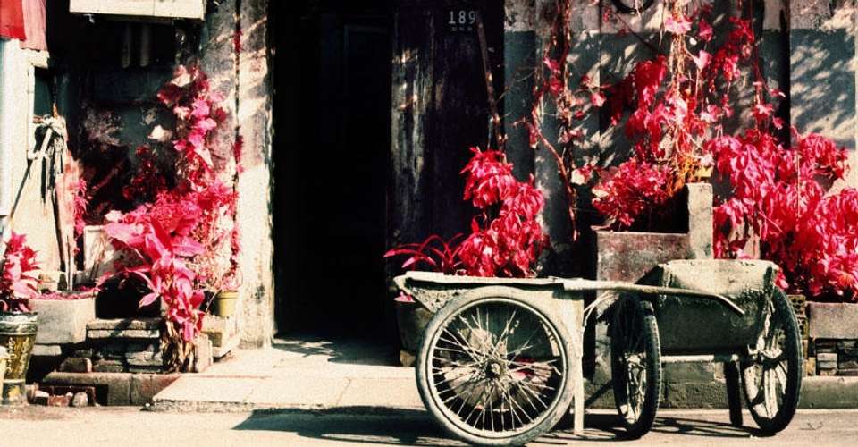Southern City Backstreets Tour - Shanghai Pathways - China - Image 1