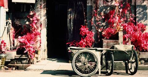 Southern City Backstreets Tour - September 2026
