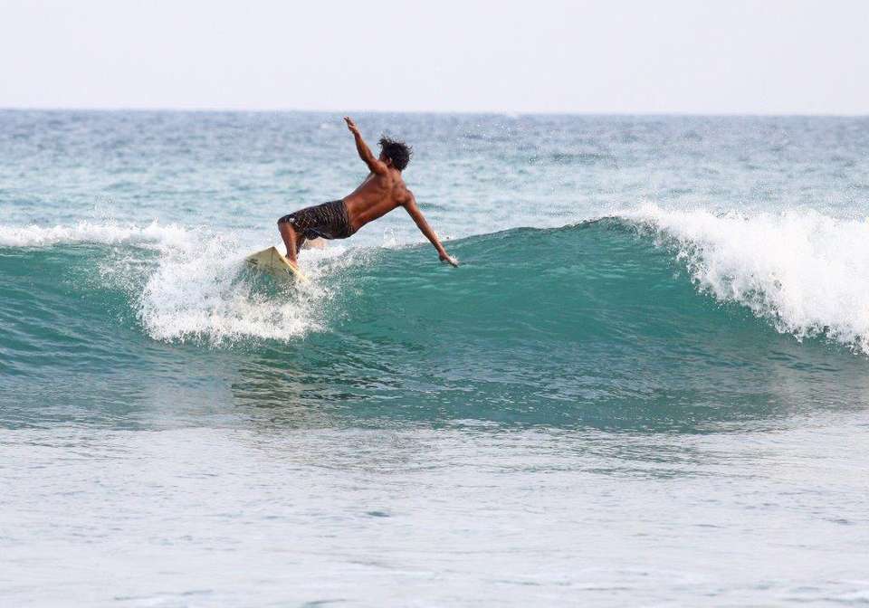 Sri Lanka’s Southern Gems: Coast, Culture & Wildlife, Private Tour - Destination Services - Sri Lanka - Image 4