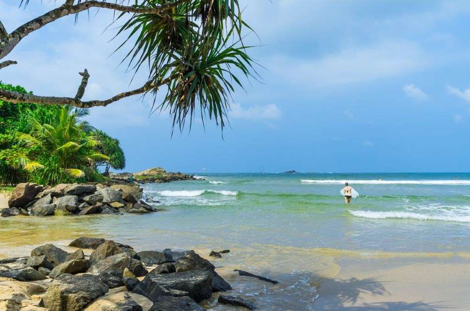 Sri Lanka’s Southern Gems: Coast, Culture & Wildlife, Private Tour - Destination Services - Sri Lanka - Image 8