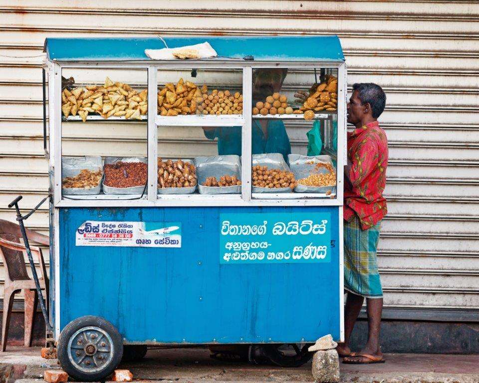 Sri Lanka’s Southern Gems: Coast, Culture & Wildlife, Private Tour - Destination Services - Sri Lanka - Image 10