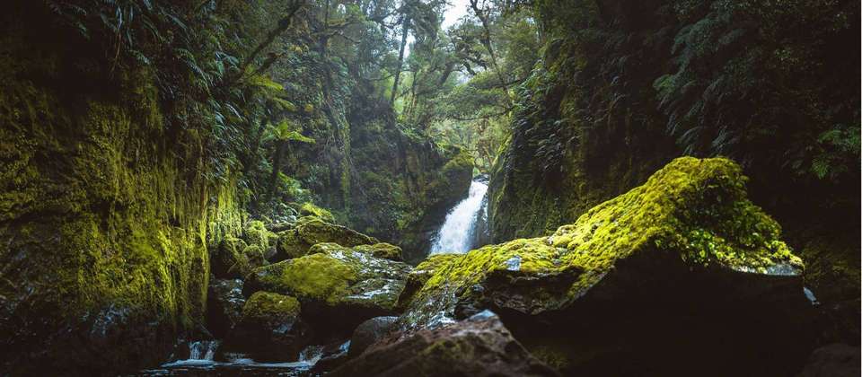 Southern Fiords Discovery - undefined - Image 2