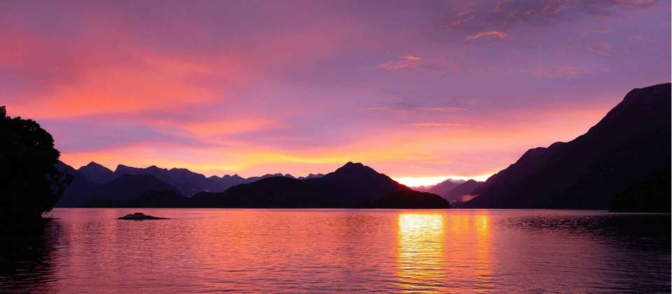 Southern Fiords Discovery - undefined - Image 3
