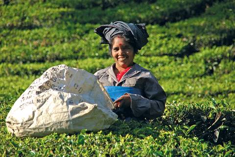 Southern India - Spring Tours