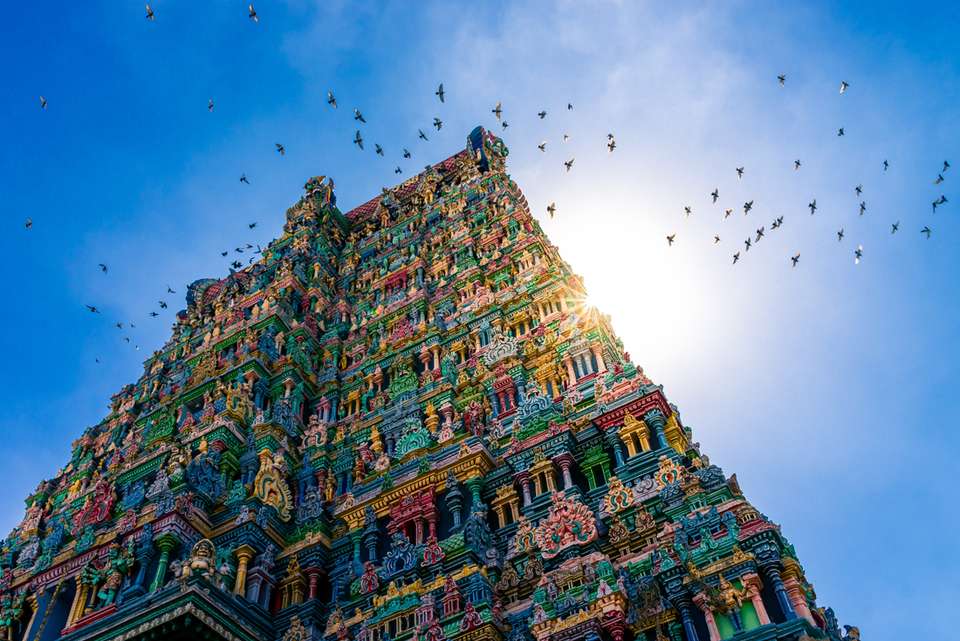 Southern India - Intrepid Travel - India - Image 6