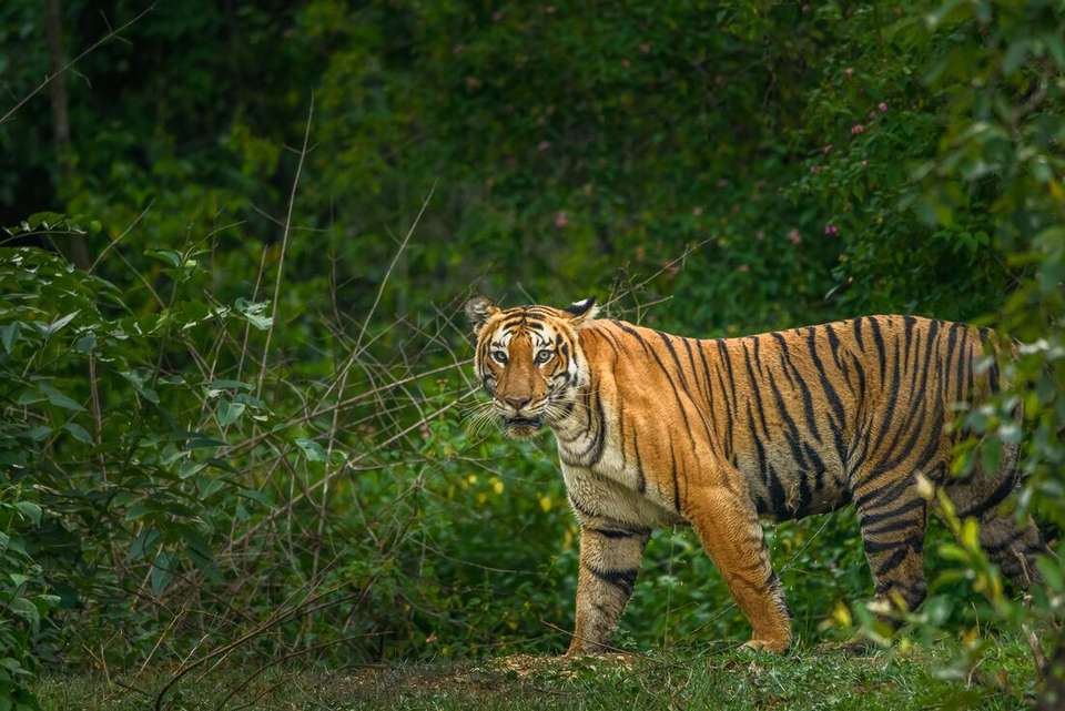 Southern India - Intrepid Travel - India - Image 8