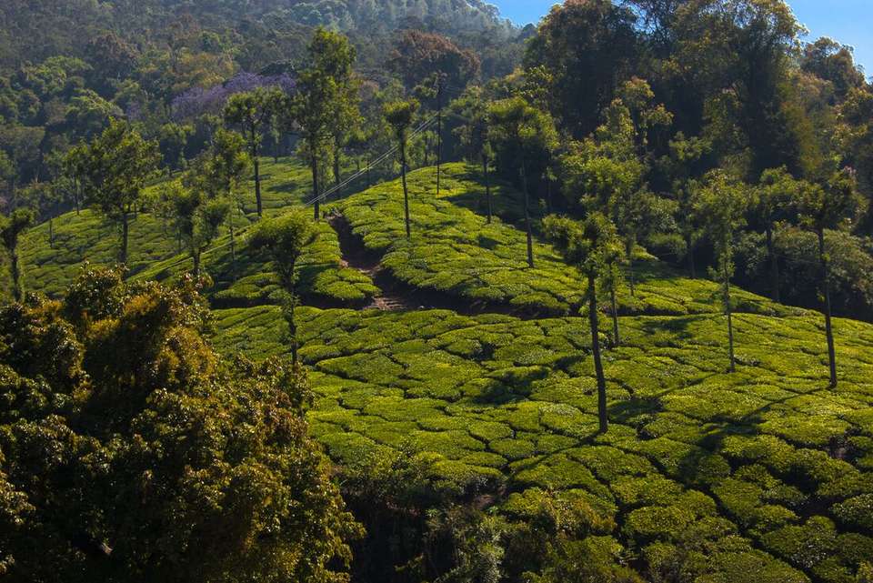 Southern India - Intrepid Travel - India - Image 9