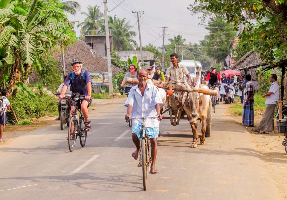 Southern India Coast to Coast Ride - Exodus Adventure Travels - India - Image 23