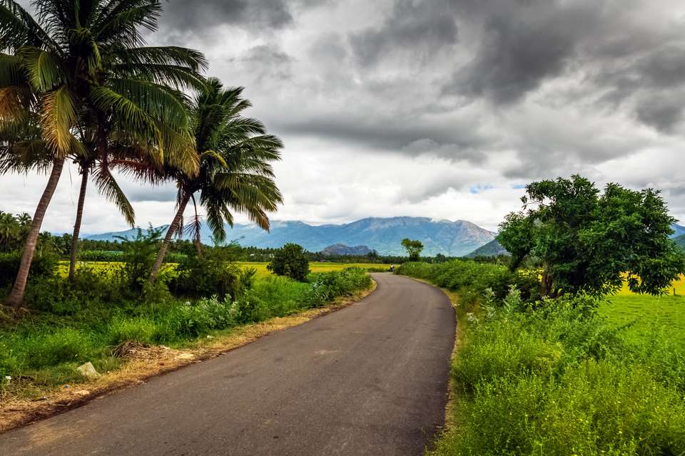 Southern India Coast to Coast Ride - Exodus Adventure Travels - India - Image 11