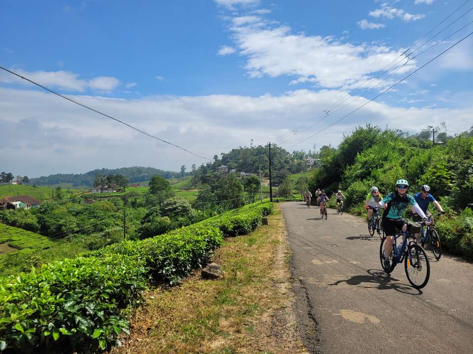 Southern India Coast to Coast Ride - Exodus Adventure Travels - India - Image 8