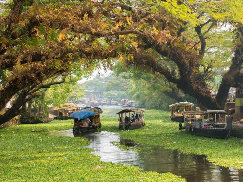 Southern India Uncovered - Encounters Travel - India - Image 7