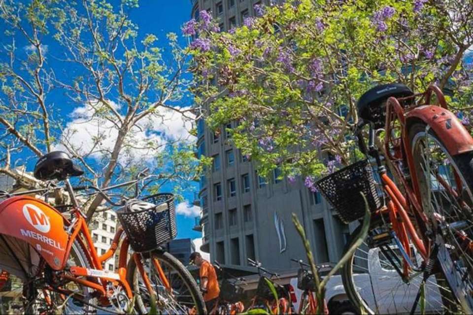 Southern Neighborhoods Bicycle Tour - Tangol Tours - Argentina - Image 4