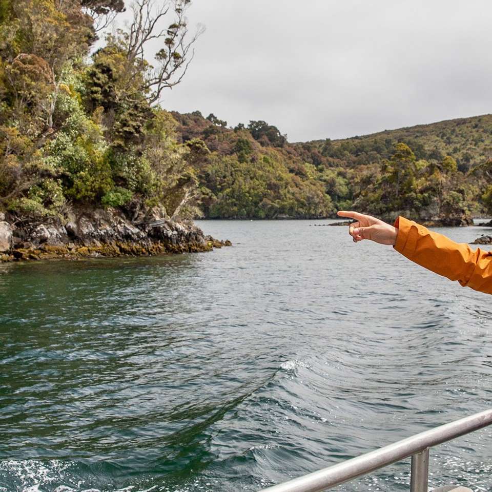 Southern Spirit - Aat Kings - New Zealand - Image 5