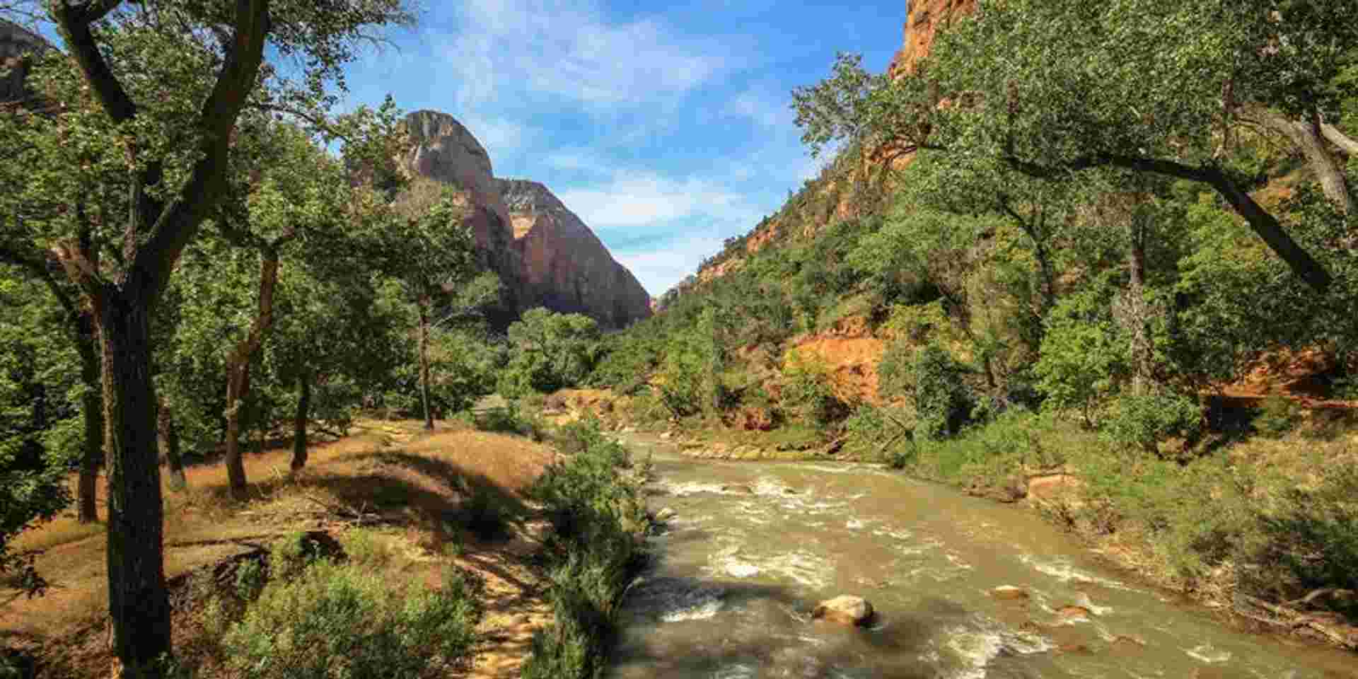 Southwest Road Trip: Zion, the Grand Canyon & Santa Monica Sunsets