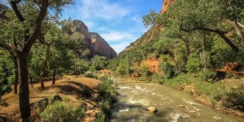 Southwest Road Trip: Zion, The Grand Canyon & Santa Monica Sunsets - September 2026