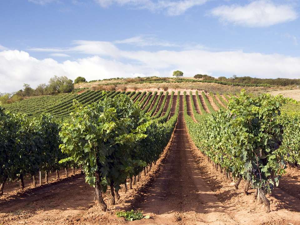 Spain & Portugal Grand Tour (Superior) - 15 days  - On The Go Tours - Spain - Image 3