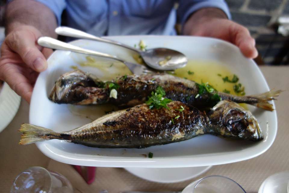 Spain & Portugal Real Food Adventure - Intrepid Travel - Spain