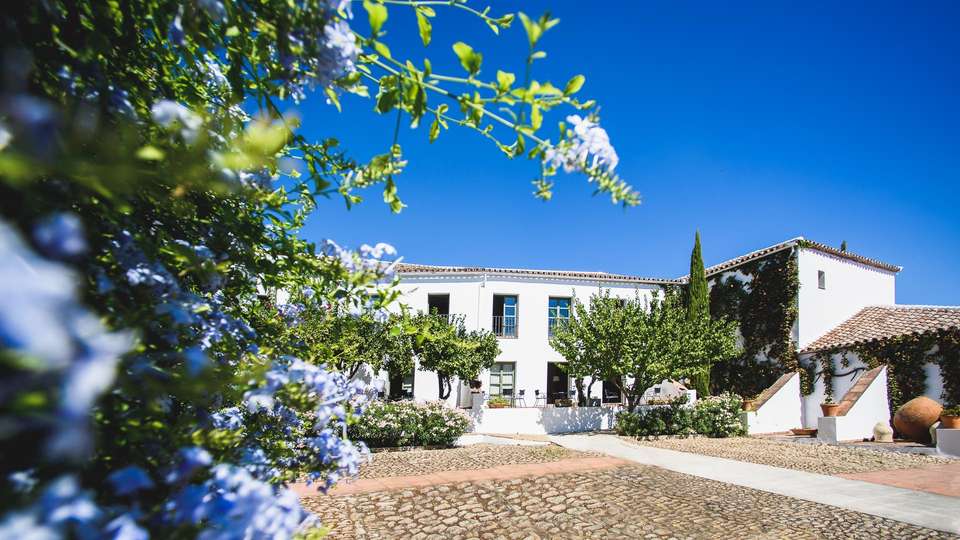 Spain: Vibrant Cities & Countryside Walks - G Adventures - Spain - Image 7