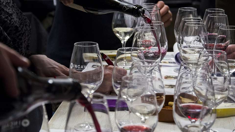 Spanish Wine Tasting in Barcelona - Taller Projectes Oci Sal - Spain - Image 1