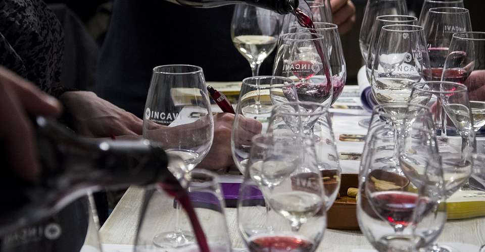 Spanish Wine Tasting in Barcelona with Lunch - Taller Projectes Oci Sal - Spain - Image 2