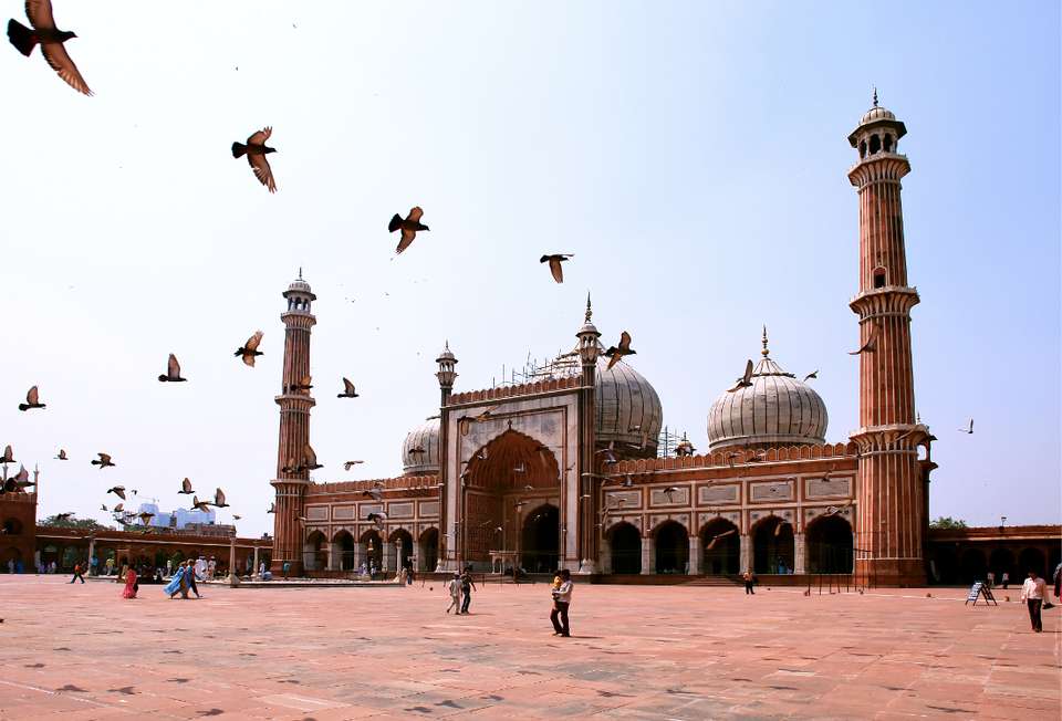 Special Rajasthan, Italian-speaking Guide - Destination Services - India - Image 10