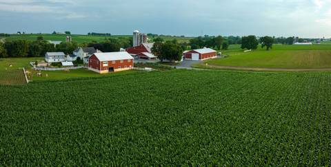 New York Cultural, Religious And Historic Sites Tour: Special Washington End Ny