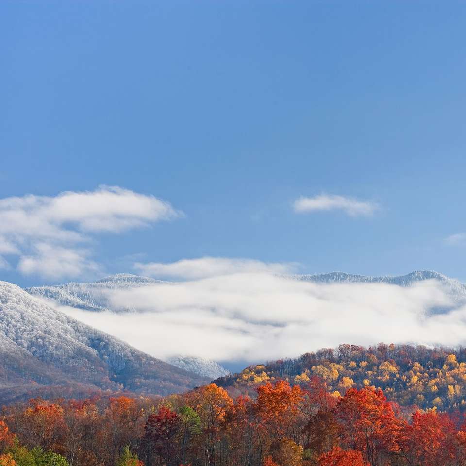 Spectacular National Parks of Eastern USA - Insight Vacations - USA - Image 5