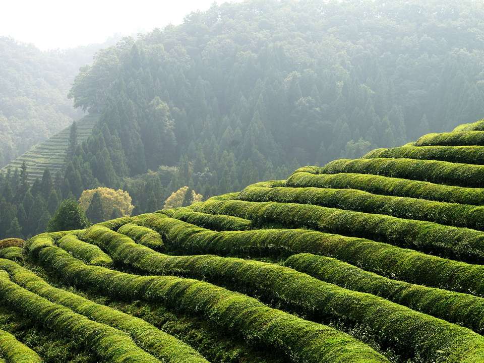 Spectacular South Korea (4 Star) - 12 days - On The Go Tours - South Korea - Image 2