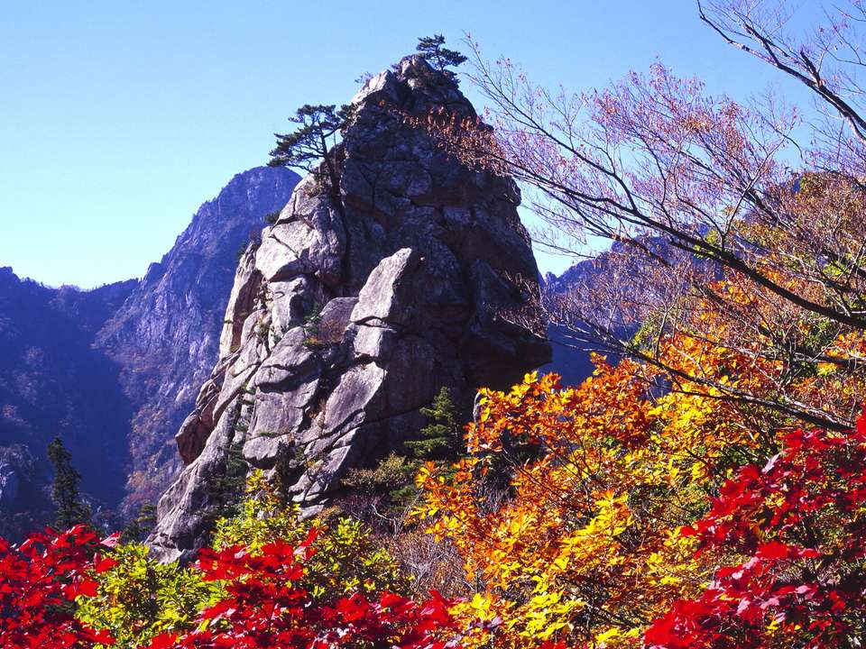 Spectacular South Korea (4 Star) - 12 days - On The Go Tours - South Korea - Image 5