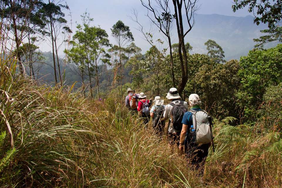 Spice Trails of Kerala - Exodus Adventure Travels - India - Image 18