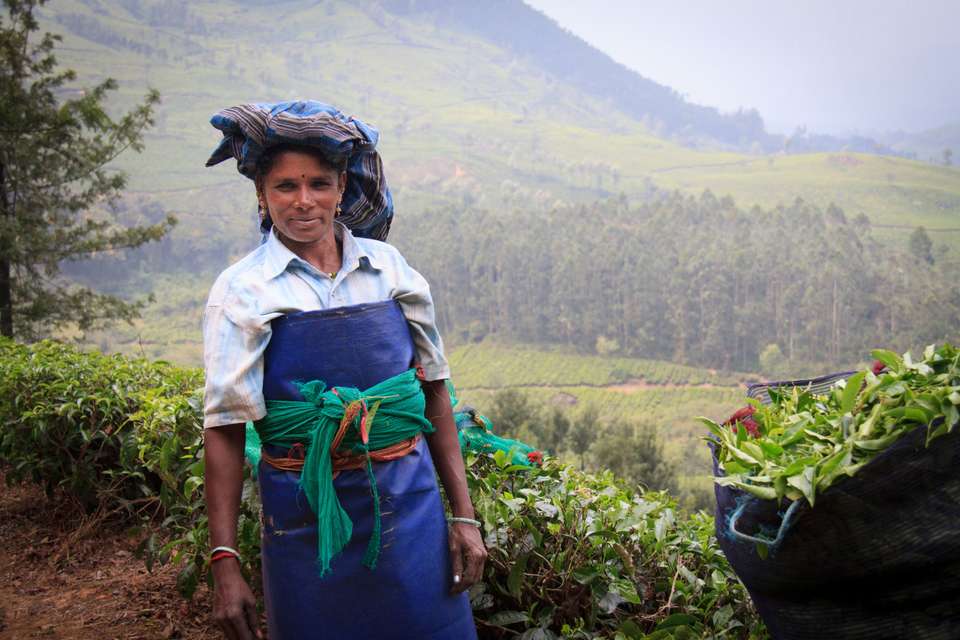 Spice Trails of Kerala - Exodus Adventure Travels - India - Image 17