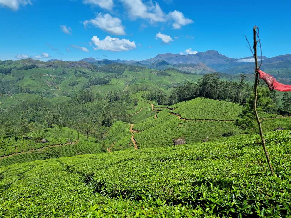 Spice Trails of Kerala - Exodus Adventure Travels - India - Image 15