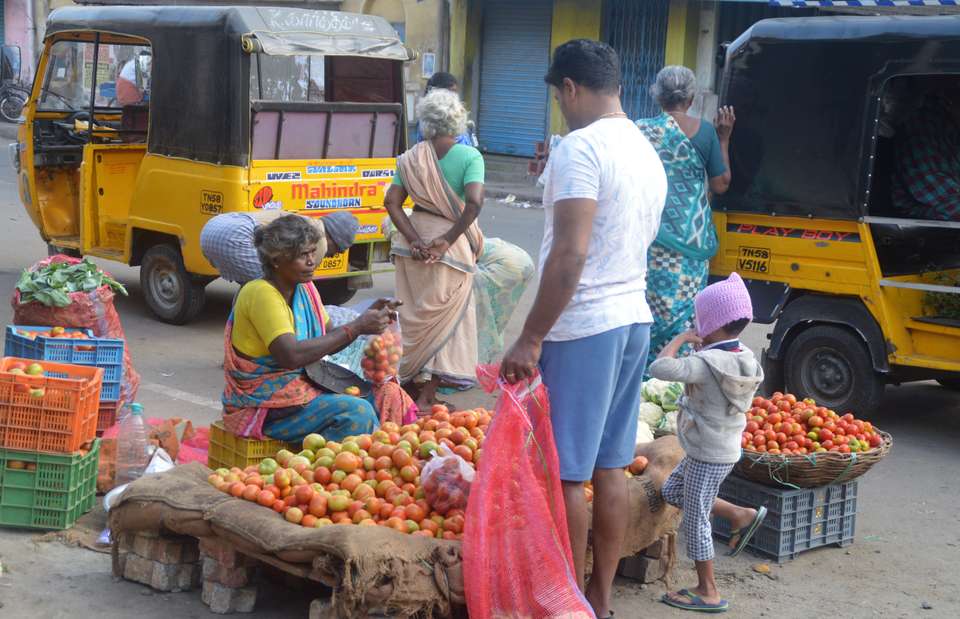 Spice Trails of Kerala - Exodus Adventure Travels - India - Image 13