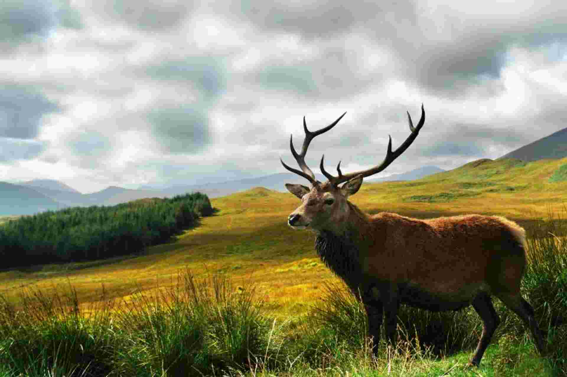 Spirit of Outlander - 16 Day Tour